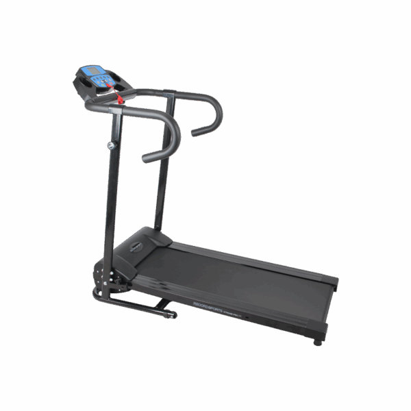 Bench Press