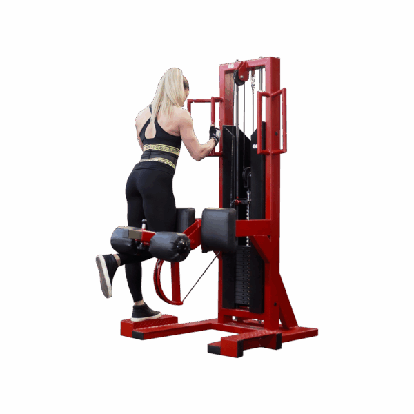 Cross Trainer