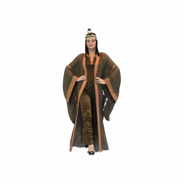 Orange Brown ladies Dress